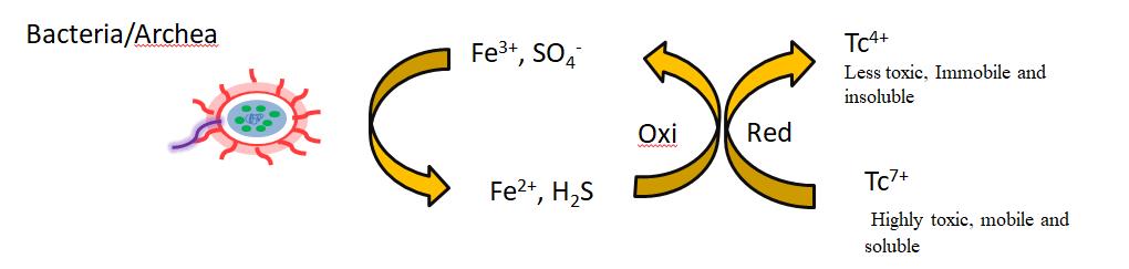 C:\Users\admin\Desktop\Figure 6.jpg