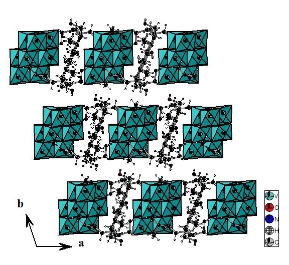 C:\Users\admin\Desktop\tu\Figure 4.jpg