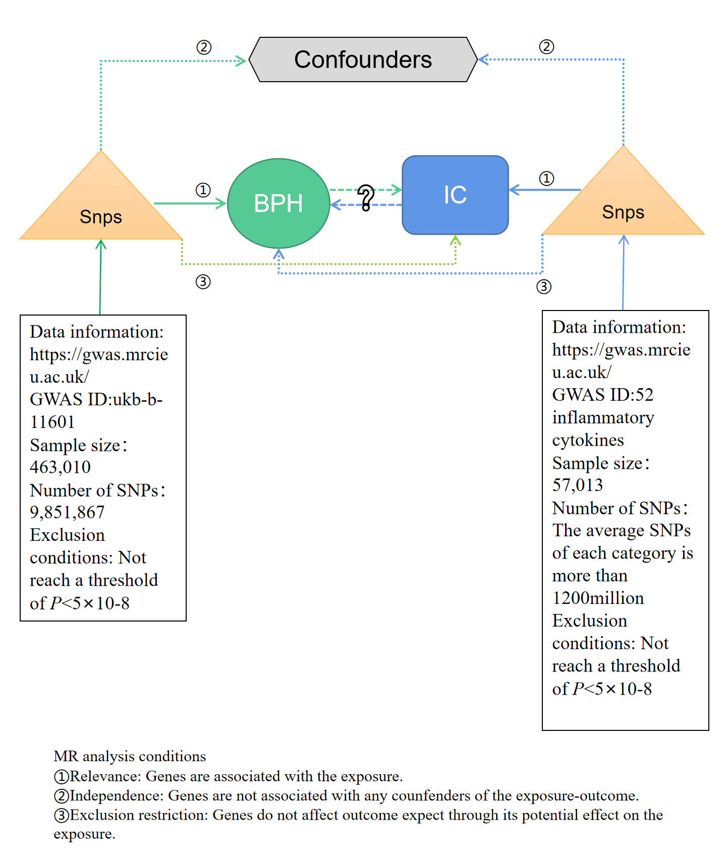 Fig1