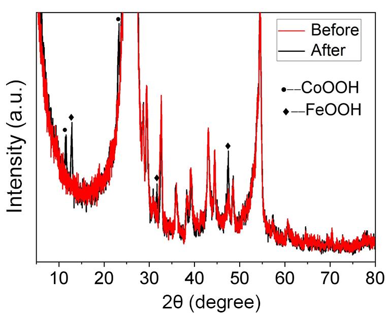 fig6