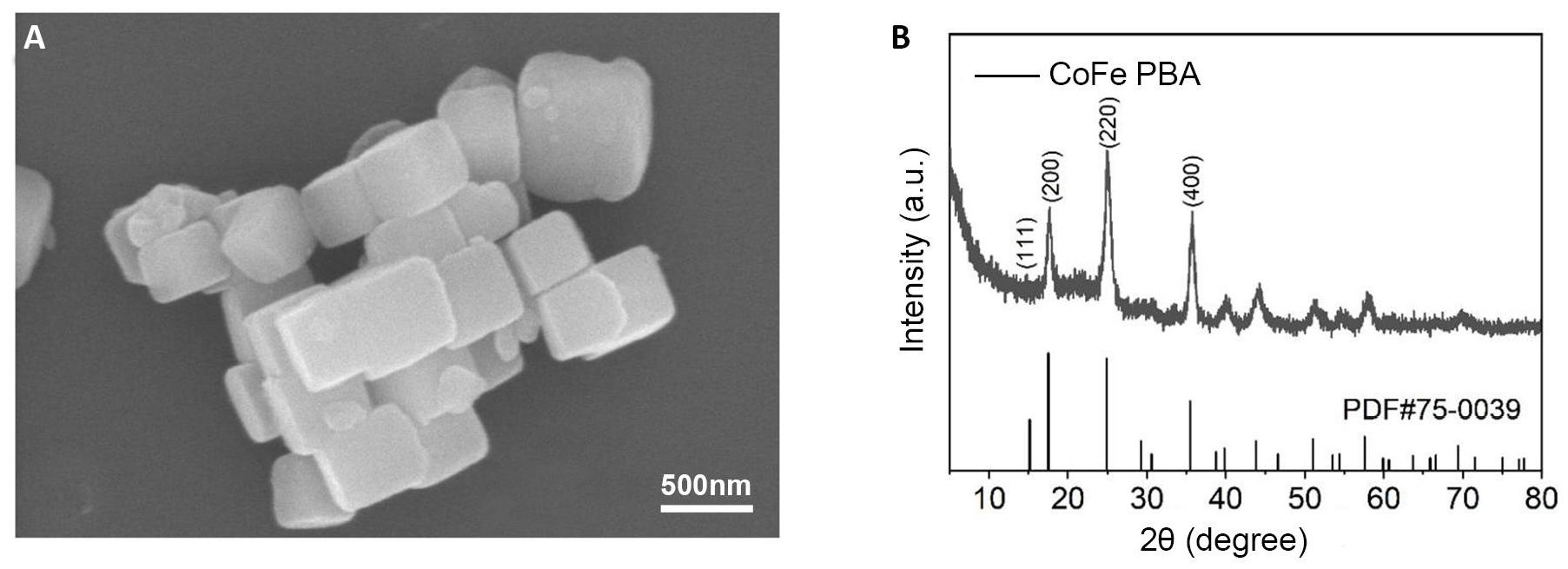 fig2