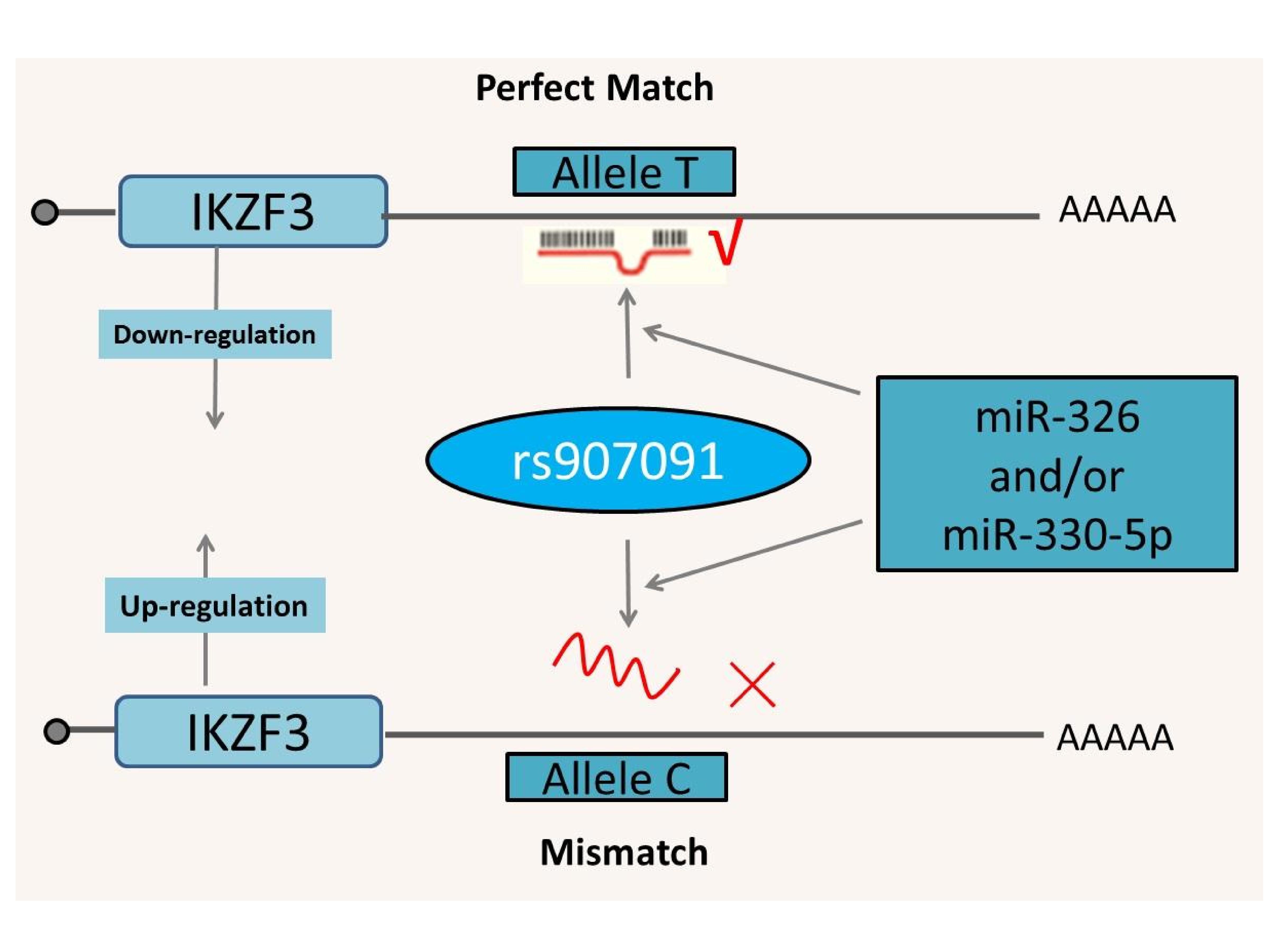C:\Users\Administrator\Desktop\moleucule\V2\Figure 3.jpg