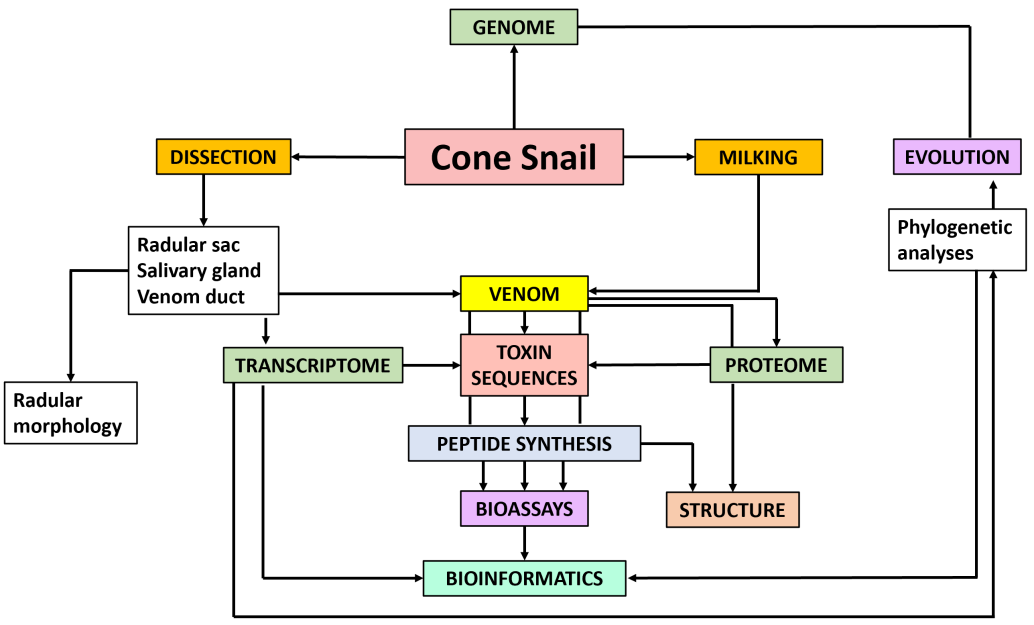A diagram of a plant
Description automatically generated