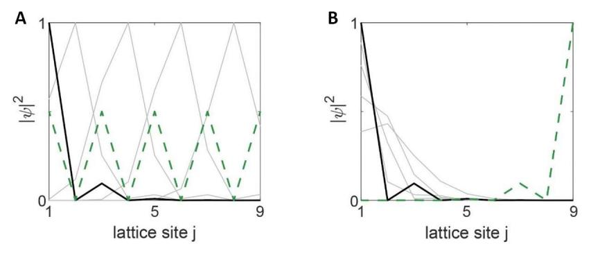fig2