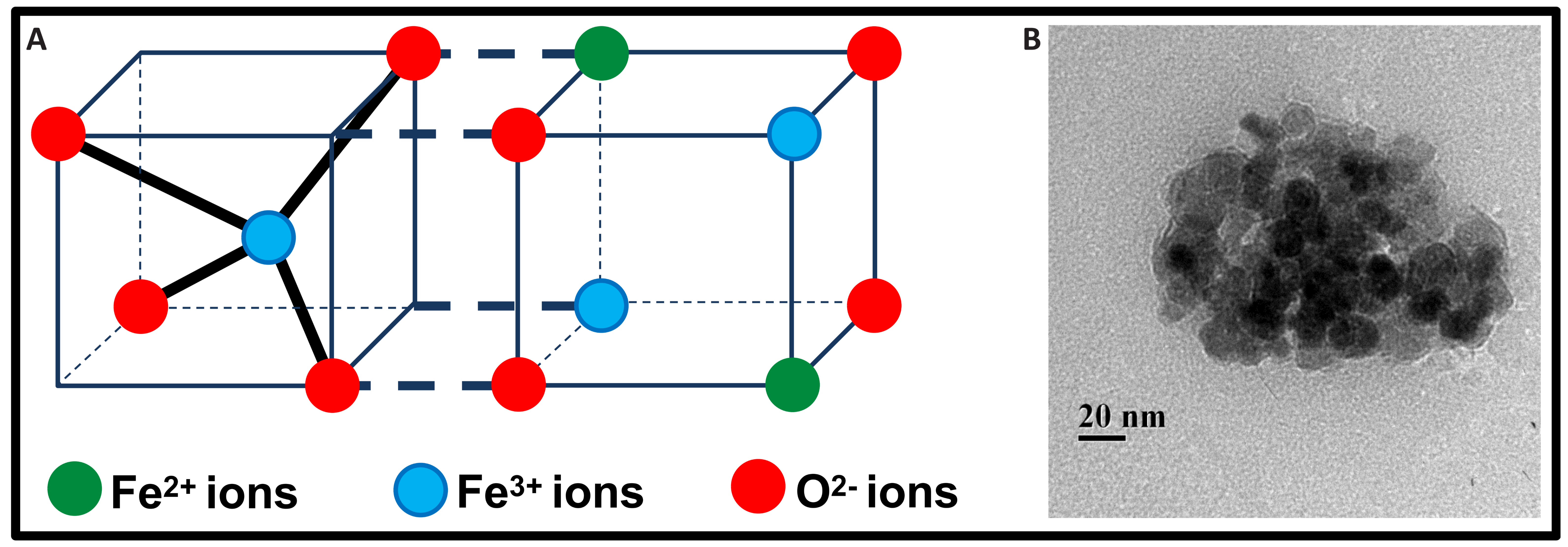 Magnetite Nanoparticles: A Potent Magnetic Perspective for ...